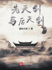 主角是先天剑体封面