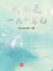 我不是一只小鸟儿歌词封面