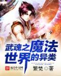 斗罗之魔法阵武魂封面