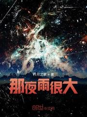 那夜雨歌词封面