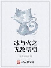 冰与火之舞百度百科封面