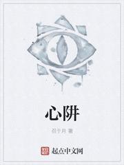 心阱封面