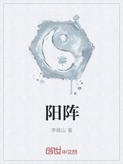 阳阵封面