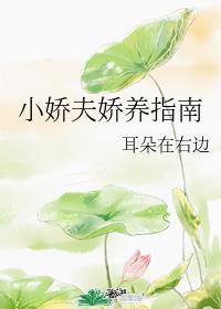 小娇夫娇养指南封面