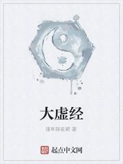 大虚经封面