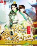 武林店小二封面