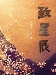 致星辰封面