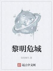 黎明危城封面