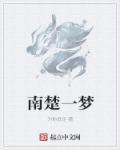 南楚一梦封面