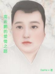 高云鹏的爱情之路封面