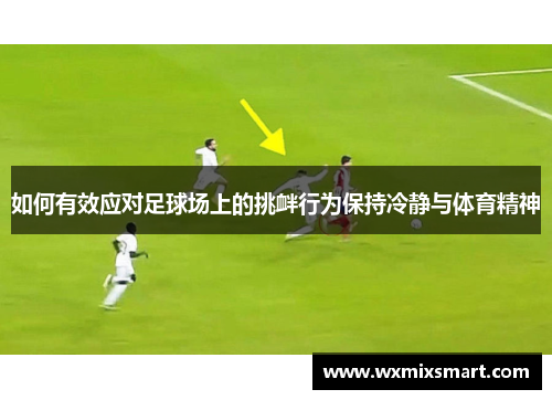 如何有效应对足球场上的挑衅行为保持冷静与体育精神