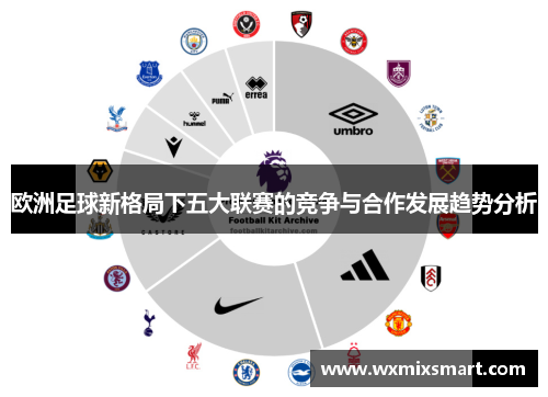 欧洲足球新格局下五大联赛的竞争与合作发展趋势分析