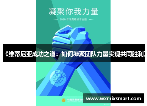 《维蒂尼亚成功之道:如何凝聚团队力量实现共同胜利》 《维蒂尼亚成功之道:如何凝聚团队力量实现共同胜利》