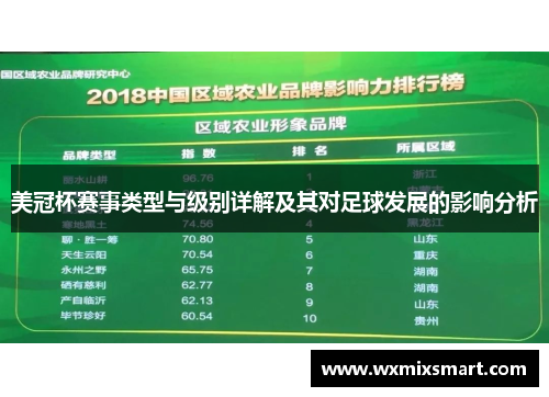 美冠杯赛事类型与级别详解及其对足球发展的影响分析