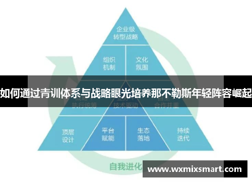如何通过青训体系与战略眼光培养那不勒斯年轻阵容崛起